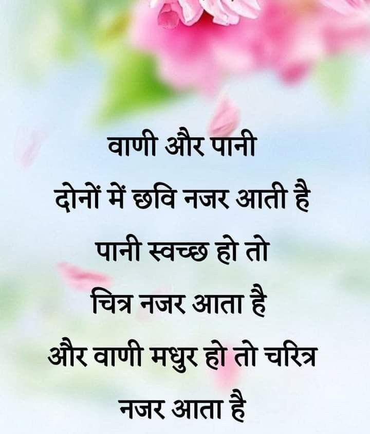 This image say anything 